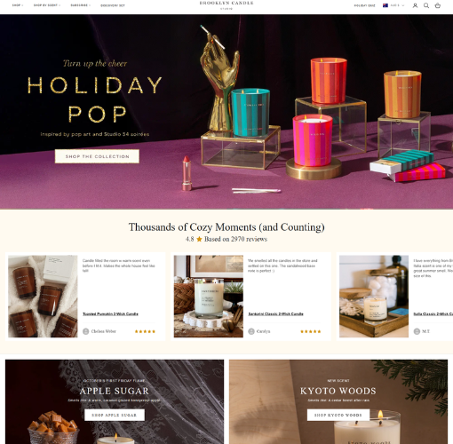 Wordpress ecommerce website by akib