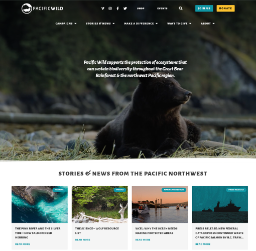 Wordpress non profit website by akib